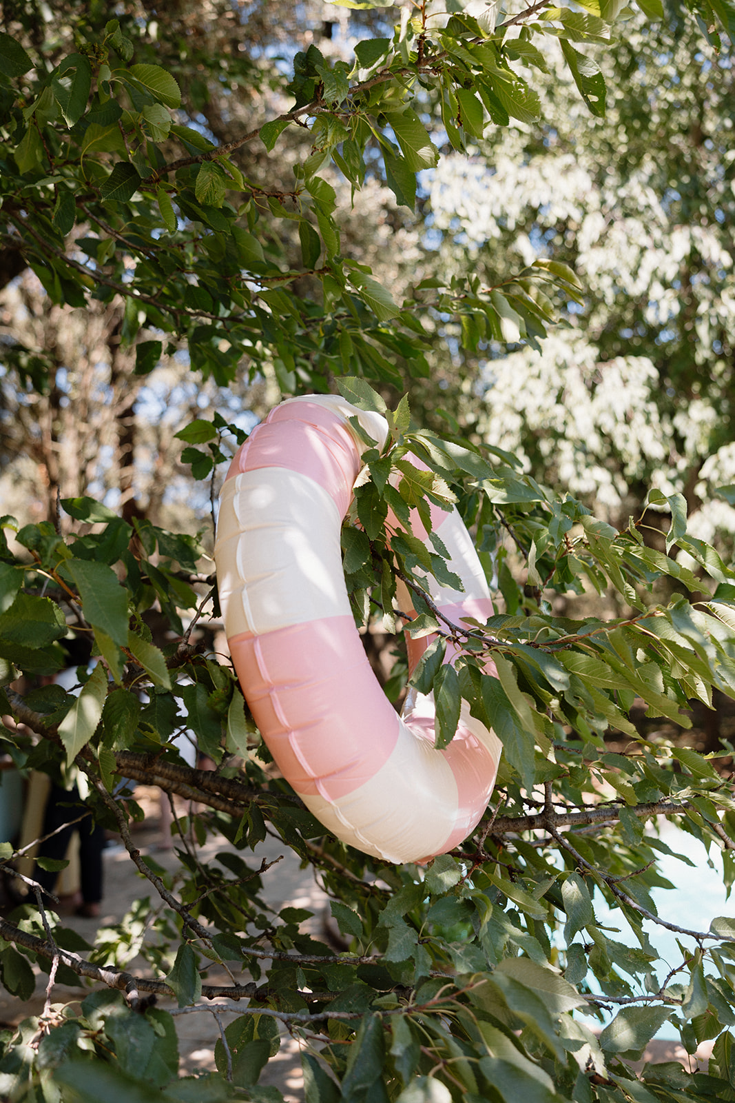 Rebecca and Joseph wedding in Provence · photograph 12