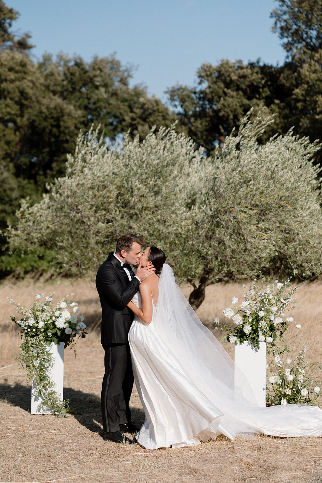 Couple kissing among olive trees at their wedding