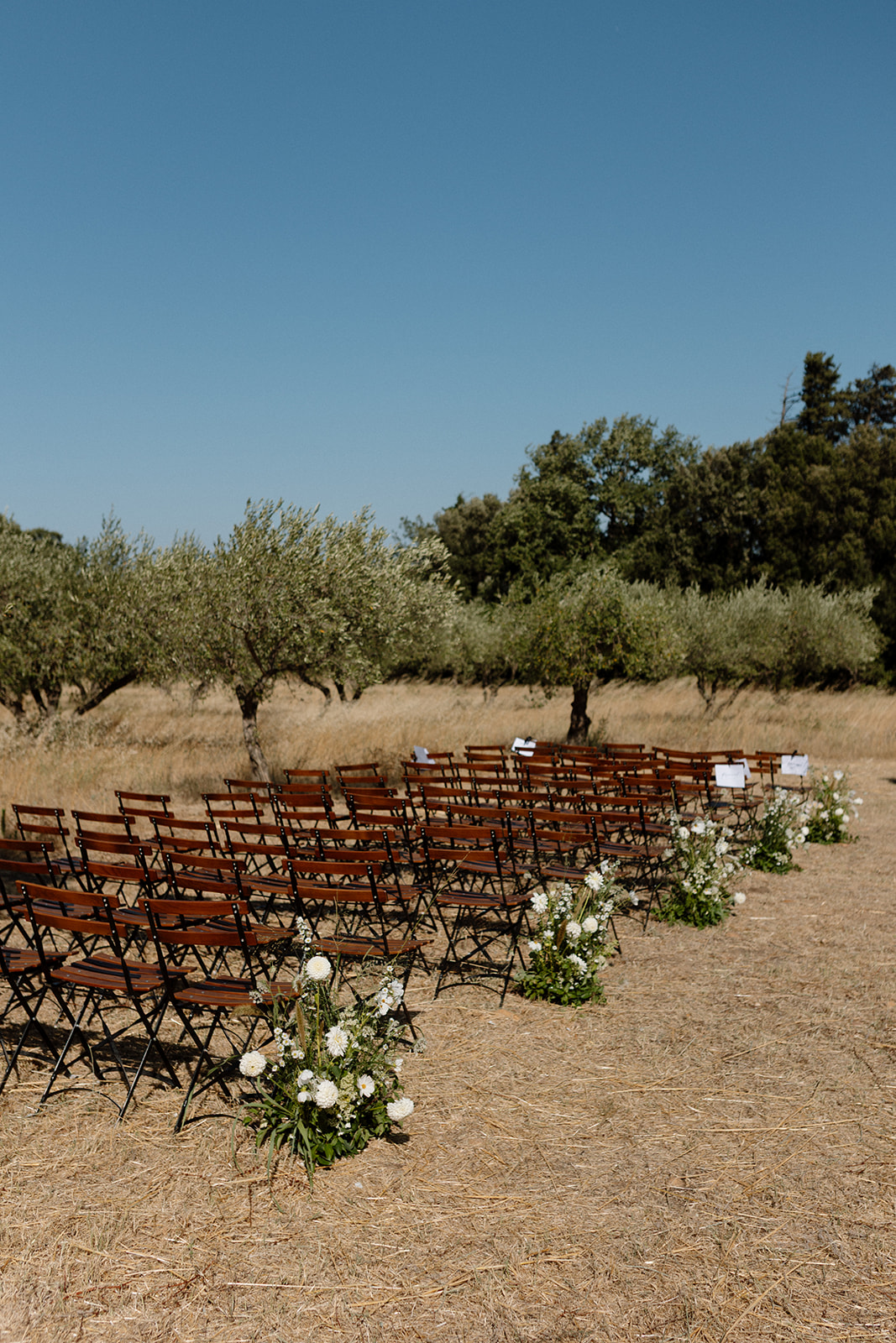 Outdoor wedding ceremony setting among olive trees