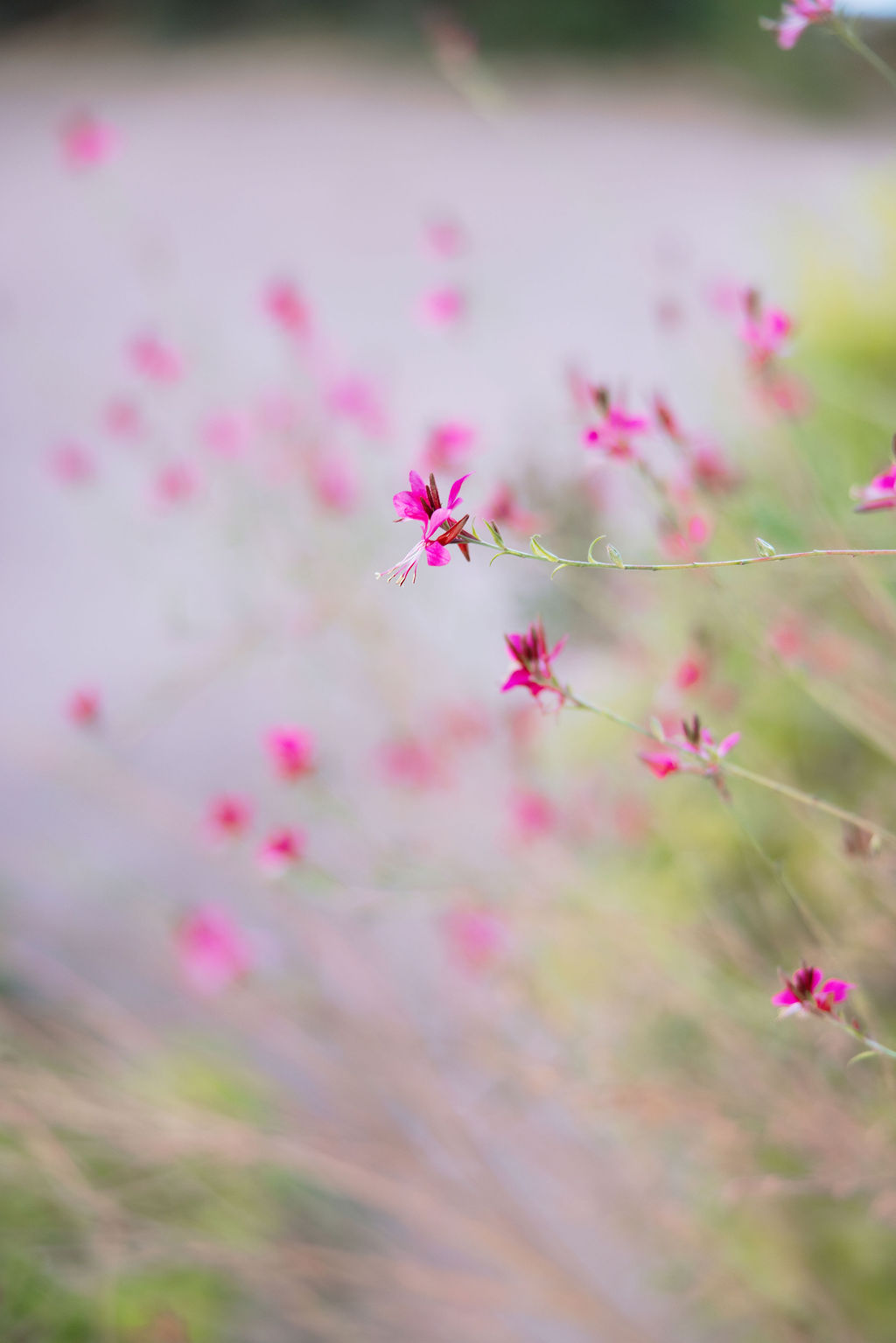 Hettie and James wedding in Provence · photograph 2
