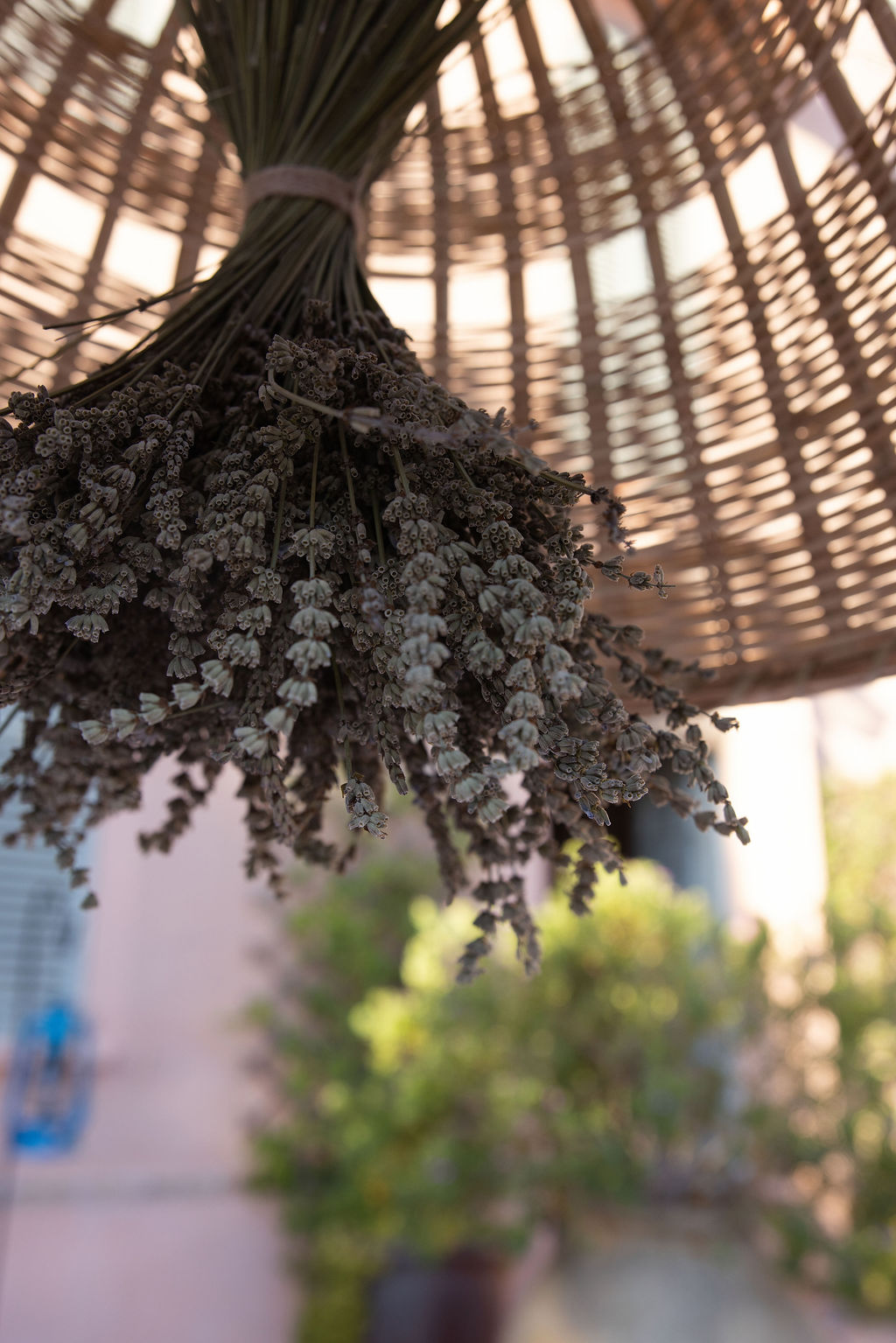 Hettie and James wedding in Provence · photograph 15